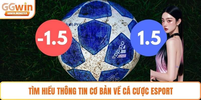 Tìm hiểu thông tin cơ bản về cá cược Esport